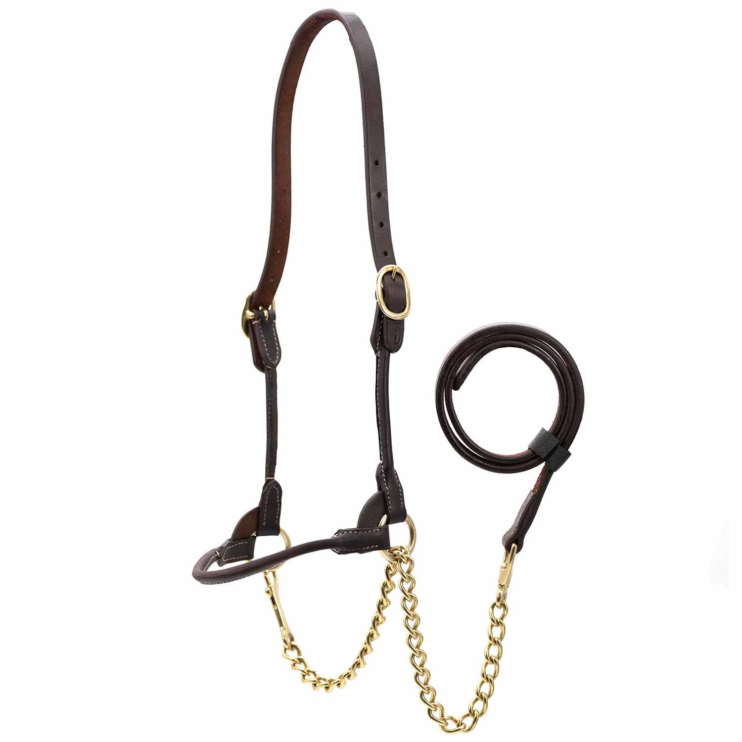 Jeffers Livestock Goat Halter